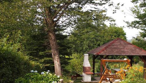 ČAROBNA ŠUMA ***(magic forest) - Foto 5