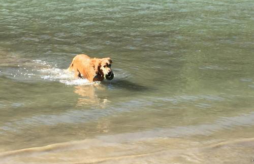 Sweet Creek - Photo 15