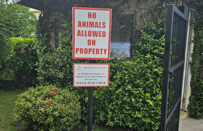 Apartment E6 - Foto 63