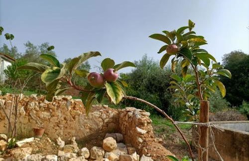 Casalinho in Portugal - Country House - Foto 7