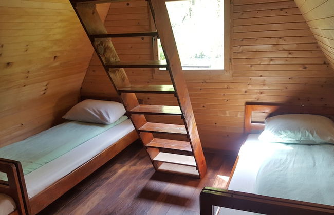 Rafting Camp Encijan - Photo 2