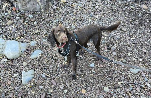 Spacious and modern 3 bedroom Doniford Bay Haven Caravan Park Static Caravan - Photo 8