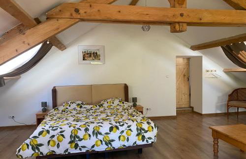 Grand Gîte chez Domaine Château de Bussolles - Foto 12