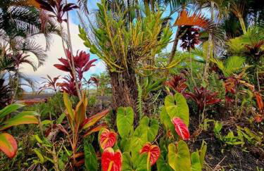 Unique Lava House by steaming crater - Photo 50