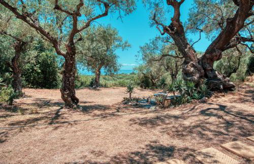 el paradiso - Foto 29