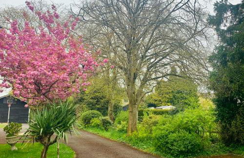 Stillmeadow - Foto 24