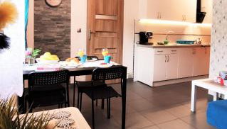 Apartamenty Pilsko Korbielów komfortowe mieszkania dla rodzin i narciarzy w Beskidach - Foto 2, stove, pet friendly