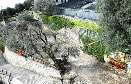 Cav Gli Ulivi di Bogliasco parcheggio privato gratuito - Foto 49