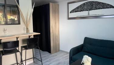 Studio climatisé et tout équipé - Foto 3