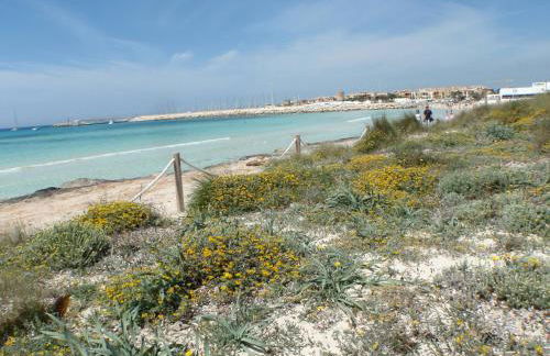 carpe Diem - Foto 26