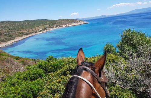 Casa Vacanza Sa Prenda - Foto 43