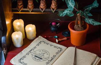 La Maison de l'Apothicaire - Un refuge enchanté avec balnéo en hyper-centre - Foto 16