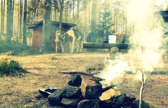 A Grand Getaway for Family and Friends - Photo 22