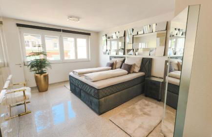 Mandaroza Apartment Freiburg - Foto 6