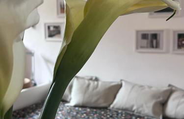 La Rosa dei Monti Iblei 1 - Foto 14