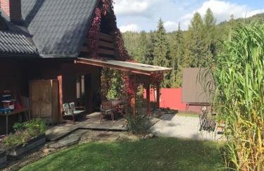 Dom pod Wilczym Groniem - Foto 5