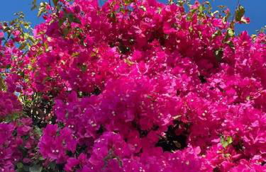 Casa Vidalita Lanjaron - Foto 14