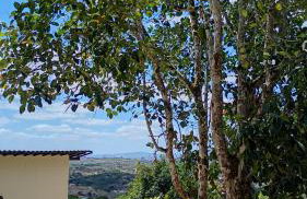 Flat 202 Topo da Montanha - Foto 6