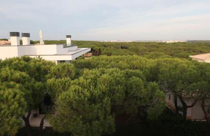 CASA DOS CATOS - Foto 45