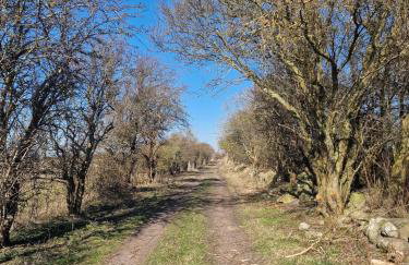 Haus-Fehmarn-am-Dorfteich-|-Wohnung-3-Nord - Foto 43