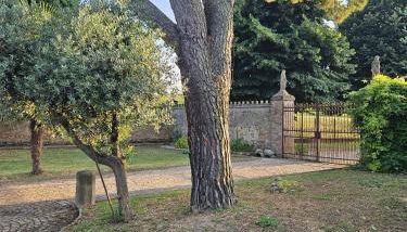 Ca' San Valentino - Foto 2