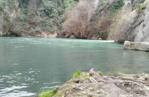 Casa Rural las Rosas de Benaojan - Photo 73