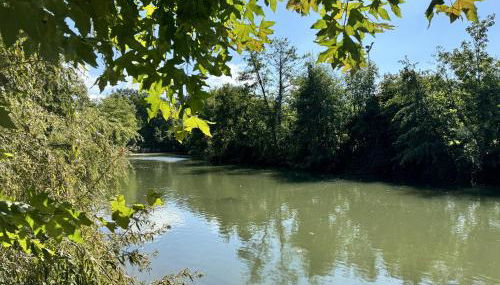 L'Abbaye de l'Epau - Jardin - Rivière - Foto 5, Garden, Garden view