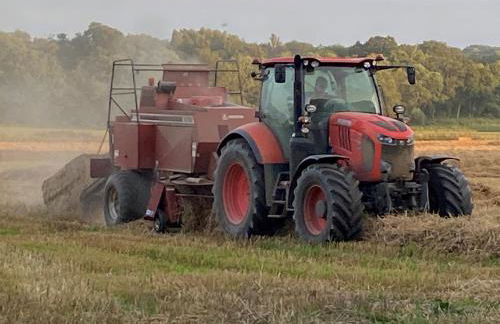 Bluebells Farmstay - Foto 24