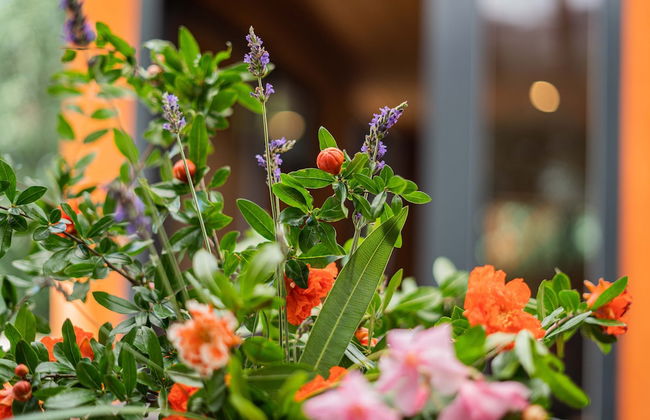 Domaine en Terre Happy - Foto 53