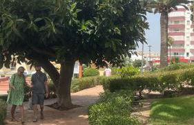 BEROLINA SUNBEACH Torrox Costa - Photo 26