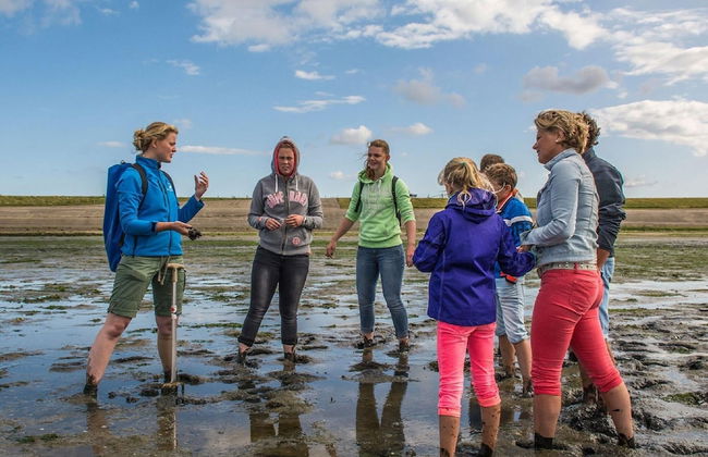 Semi-detached, Luxury Villa With 3 Bathrooms, sea at 400 m - Foto 49