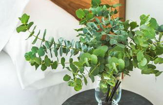 Apartamento Bguest - Photo 13