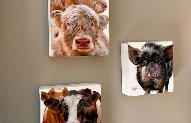 Dunroamin Apartment - Foto 2