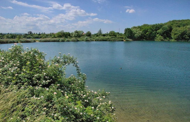 Dresdner-Tag Emma - Foto 21