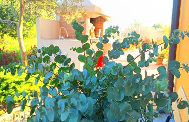 Villa Florina Ninski Stanovi - Foto 3