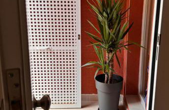 LAAN Los pinos - Foto 7