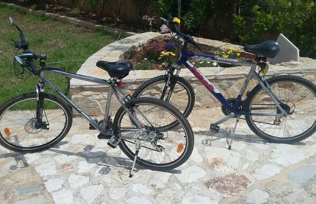 House with an amazing view - Photo 52