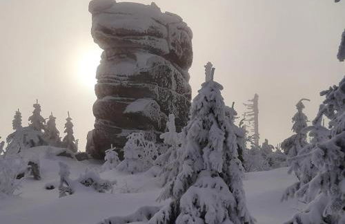 Blockhaus am Baumwipfelpfad - Foto 51