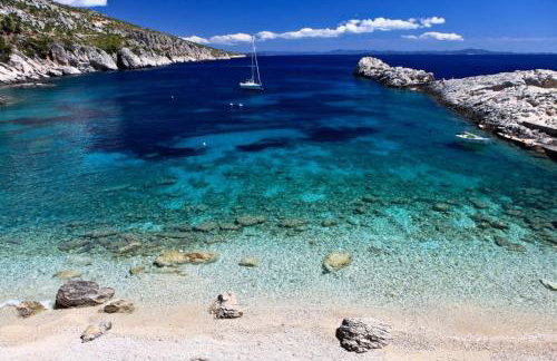 Robinson Elizabeta - Photo 10