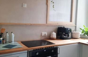 Appartement centre historique Ferreol - Foto 13