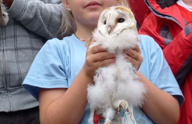 Steigmatt Bauernhof - Erlebnis - Foto 27