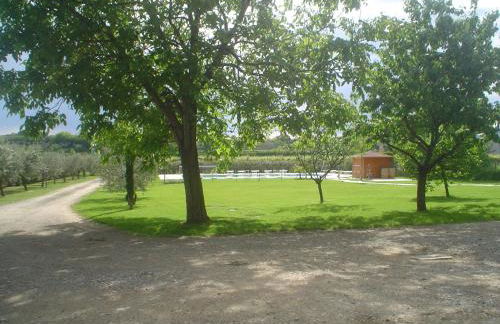 Agriturismo Borgo di Calmasino - Foto 19