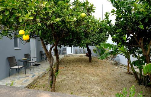 Erinaki Apartments - Foto 27