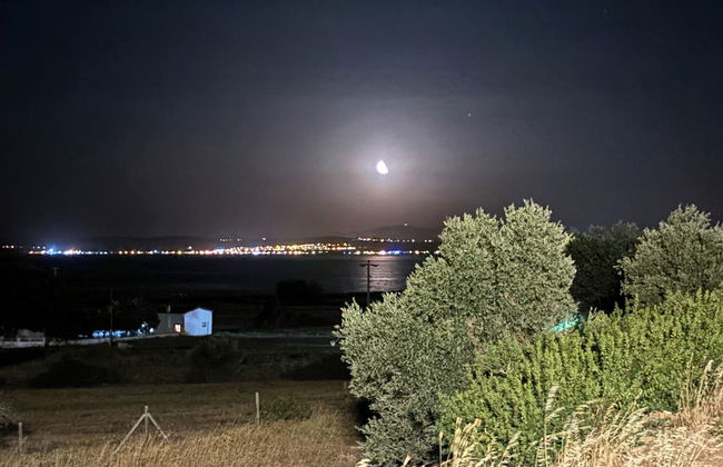 Zeus kır evi - Photo 70