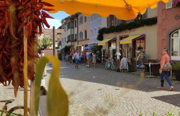 Ferienwohnung Belchenblick - Foto 24
