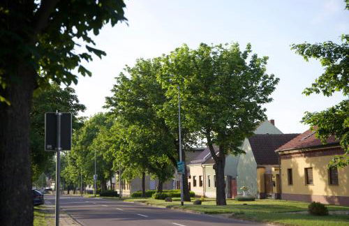 Kleine Kirche Atzendorf - Foto 22