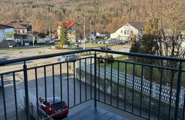 Apartament w Beskidach Niezapominajka przy stoku - Foto 21