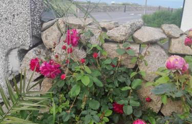 Harbour Mill Cottage - Photo 17