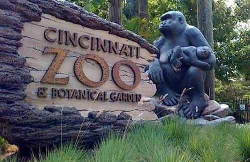 Spacious Industrial split level with a Balcony - Photo 20