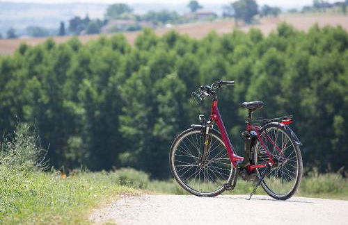 Les Chalets de Grazimis - Photo 32